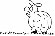 sheeplook