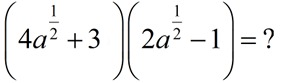 nexp13